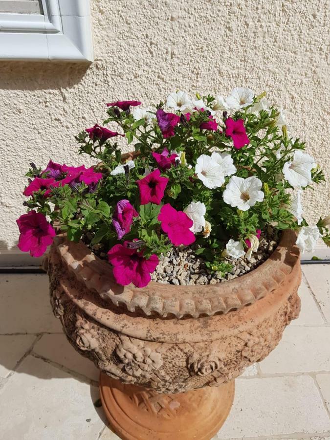 Trullo Villa Giulia Martina Franca Exterior foto